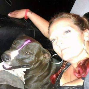 Meet your Posher, Dusty